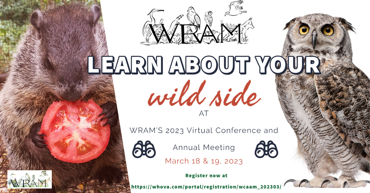 Wildlife Rehabilitators' Association of Massachusetts